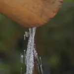 Pousada do Tié